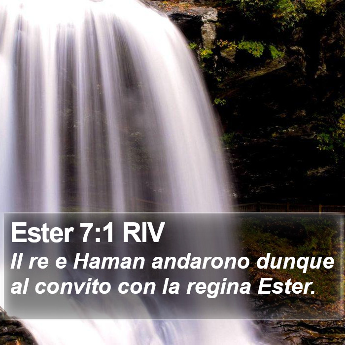 Ester 7:1 RIV Bible Study