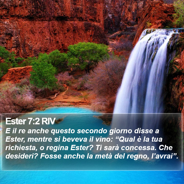 Ester 7:2 RIV Bible Study