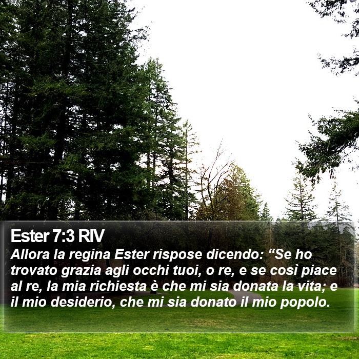 Ester 7:3 RIV Bible Study
