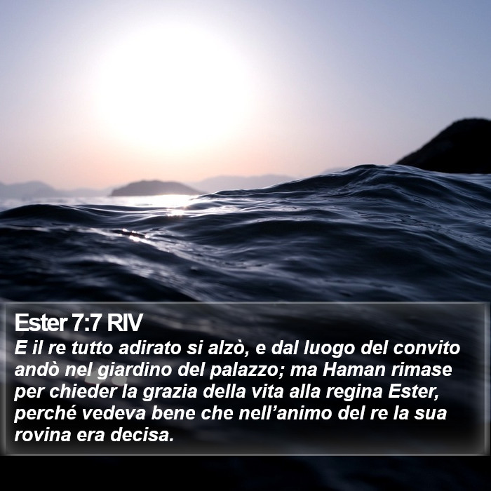 Ester 7:7 RIV Bible Study
