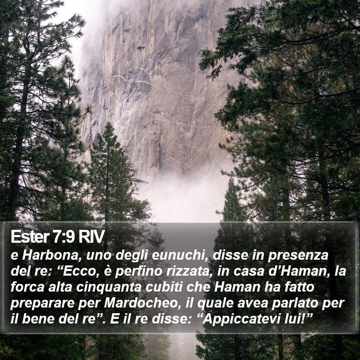 Ester 7:9 RIV Bible Study