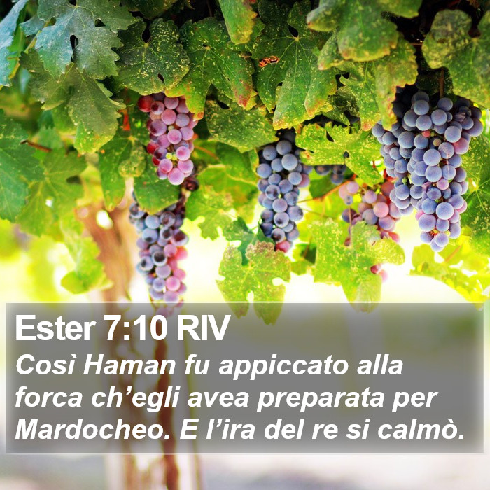 Ester 7:10 RIV Bible Study