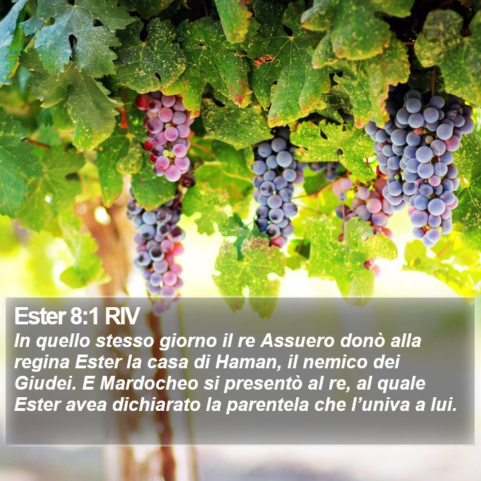 Ester 8:1 RIV Bible Study