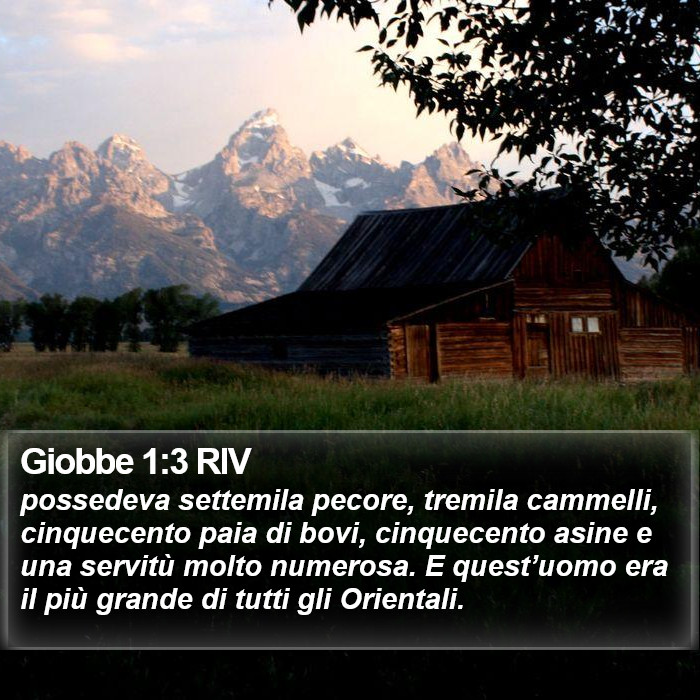 Giobbe 1:3 RIV Bible Study