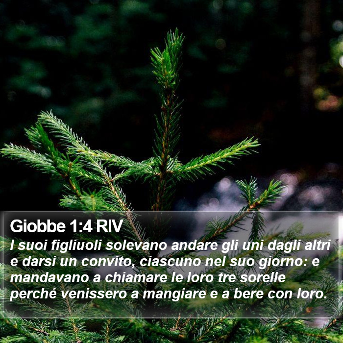 Giobbe 1:4 RIV Bible Study