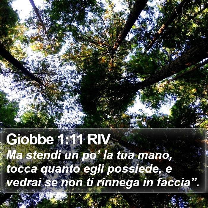 Giobbe 1:11 RIV Bible Study