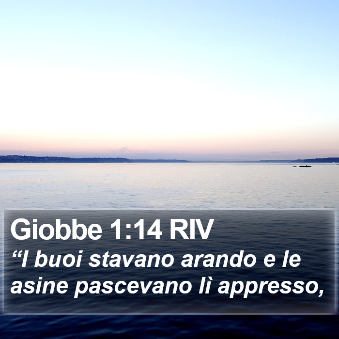 Giobbe 1:14 RIV Bible Study