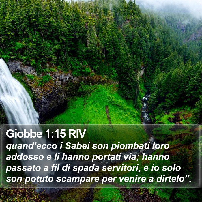 Giobbe 1:15 RIV Bible Study