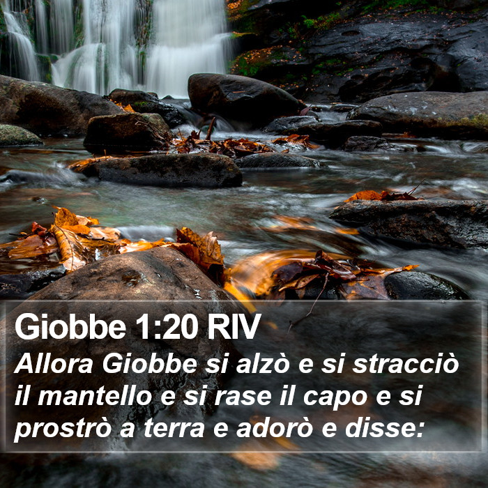 Giobbe 1:20 RIV Bible Study