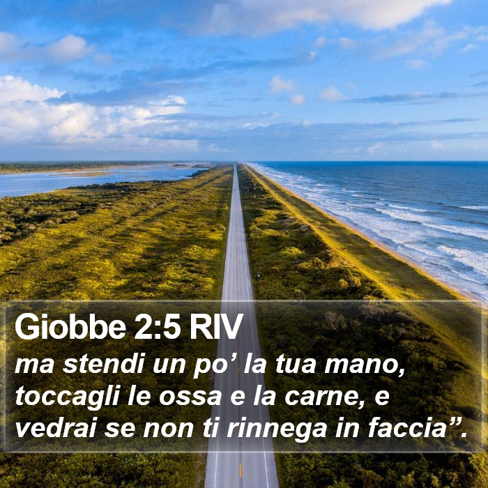 Giobbe 2:5 RIV Bible Study