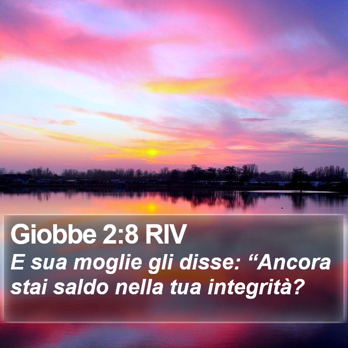 Giobbe 2:8 RIV Bible Study