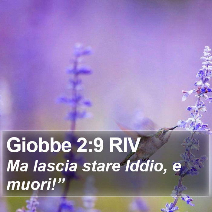 Giobbe 2:9 RIV Bible Study