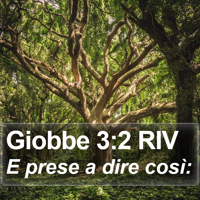 Giobbe 3:2 RIV Bible Study