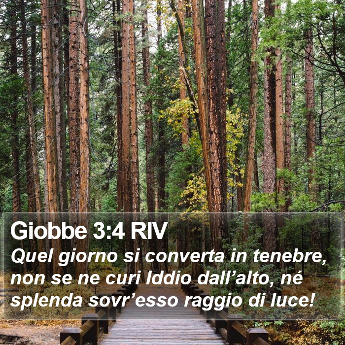 Giobbe 3:4 RIV Bible Study