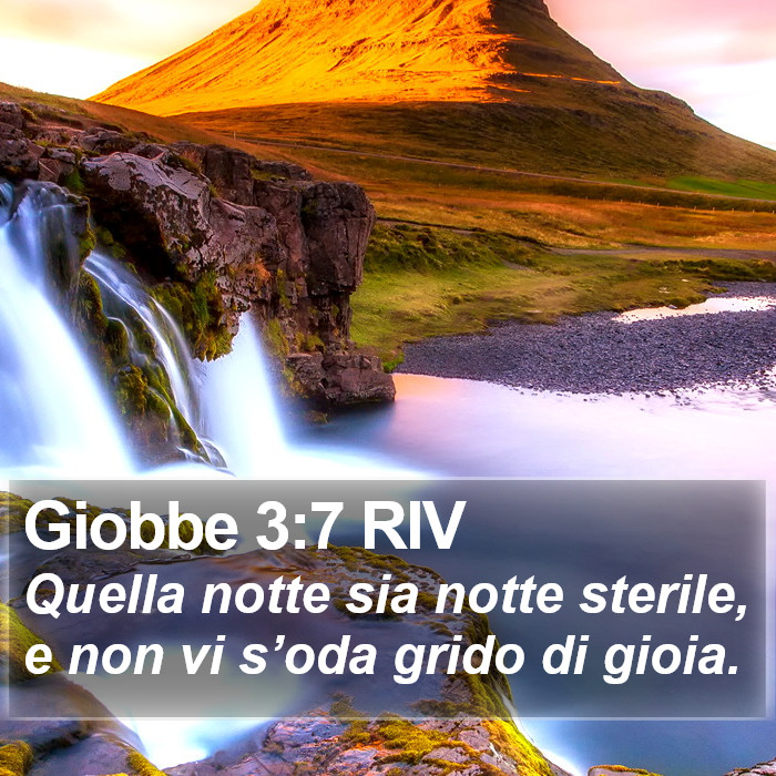 Giobbe 3:7 RIV Bible Study