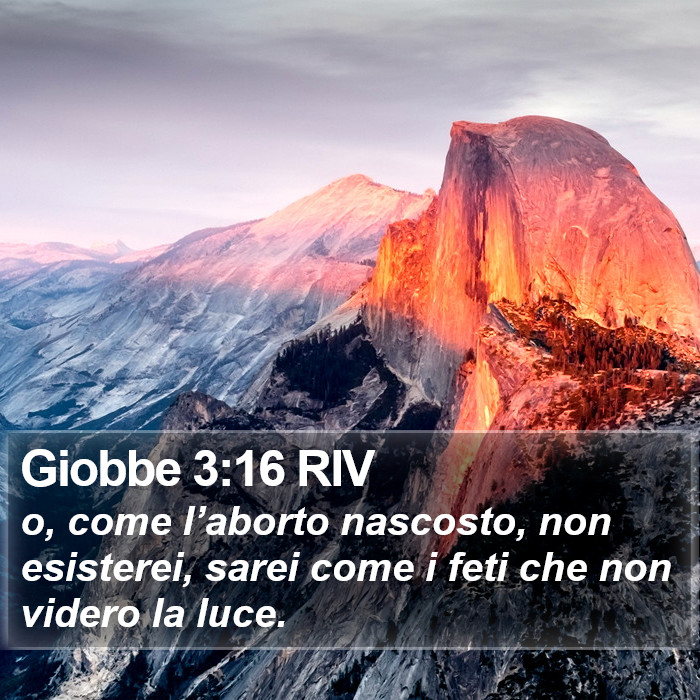 Giobbe 3:16 RIV Bible Study