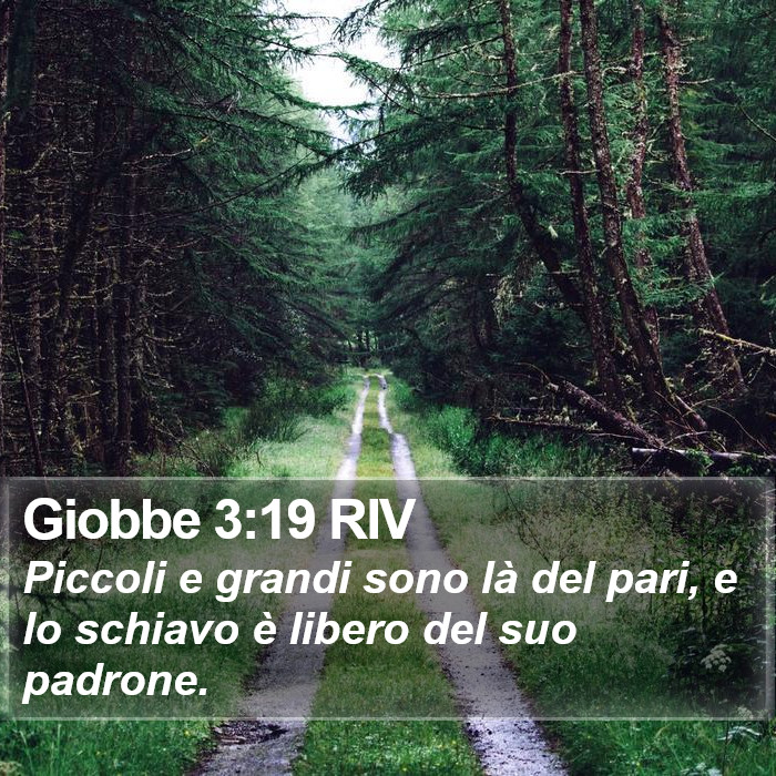 Giobbe 3:19 RIV Bible Study