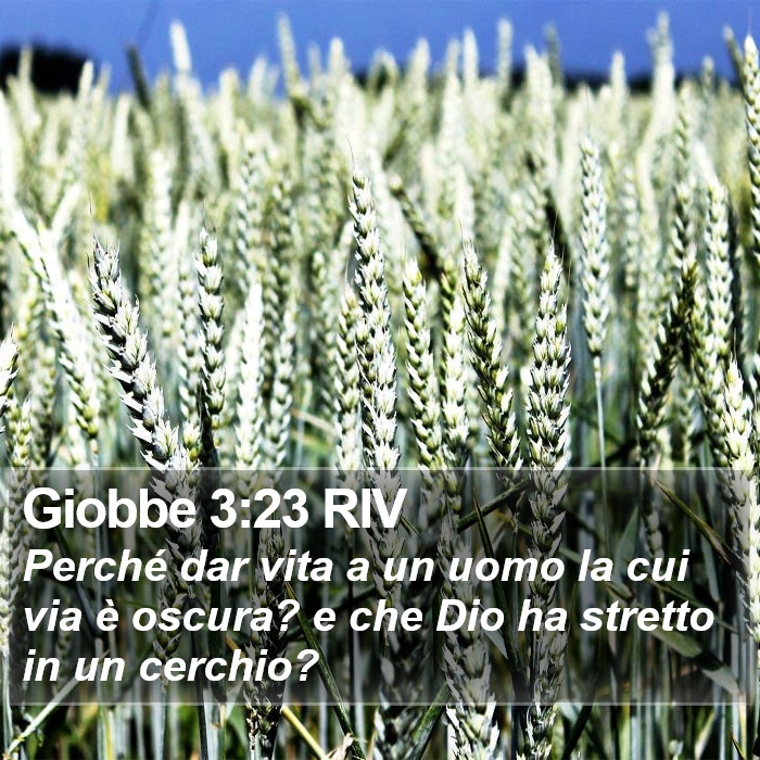 Giobbe 3:23 RIV Bible Study
