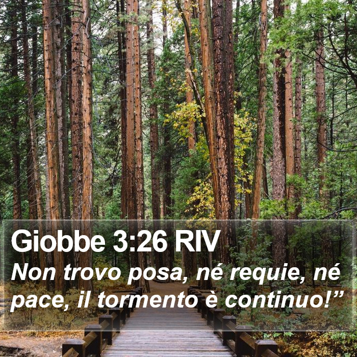 Giobbe 3:26 RIV Bible Study