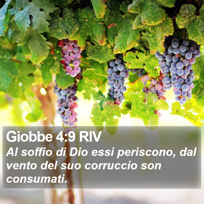 Giobbe 4:9 RIV Bible Study