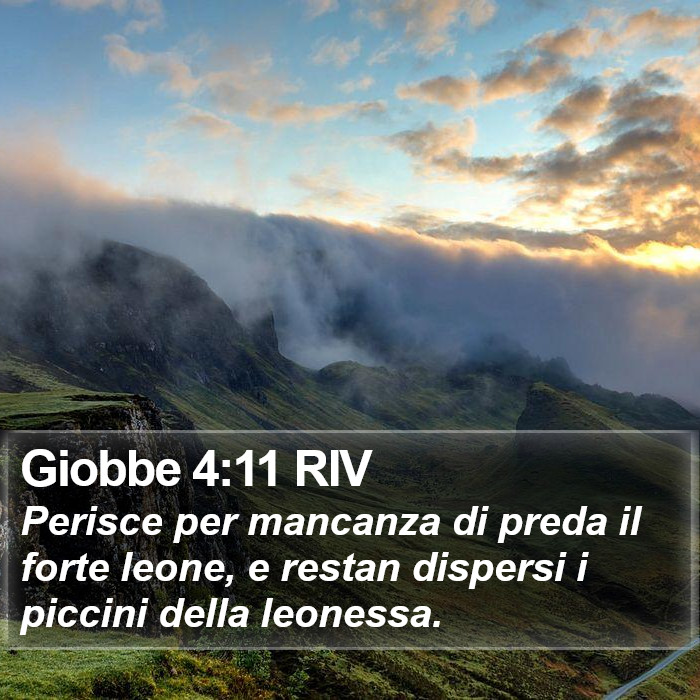 Giobbe 4:11 RIV Bible Study