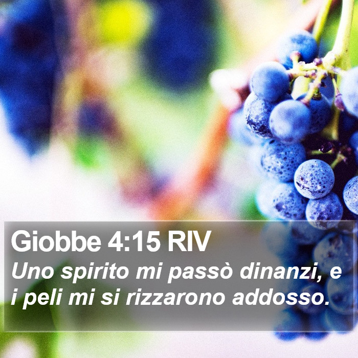 Giobbe 4:15 RIV Bible Study