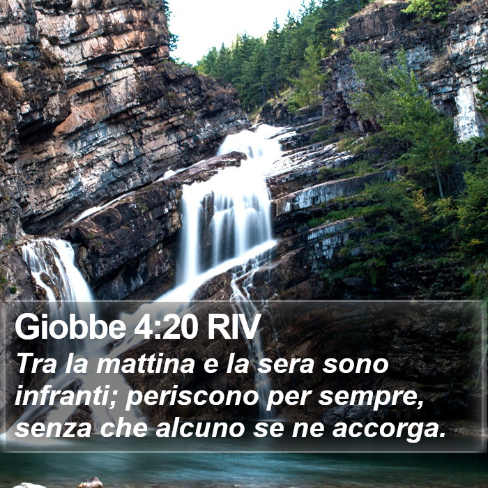 Giobbe 4:20 RIV Bible Study