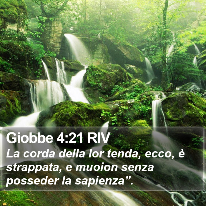 Giobbe 4:21 RIV Bible Study