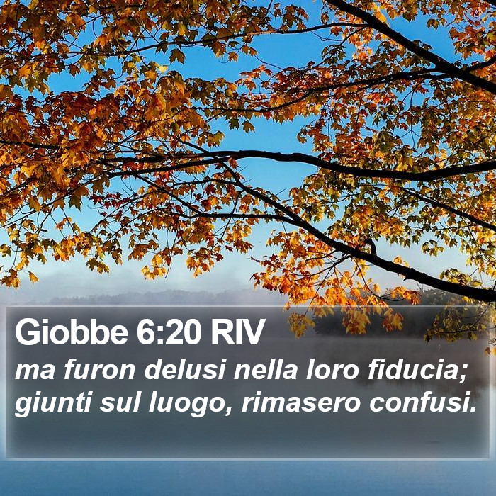 Giobbe 6:20 RIV Bible Study