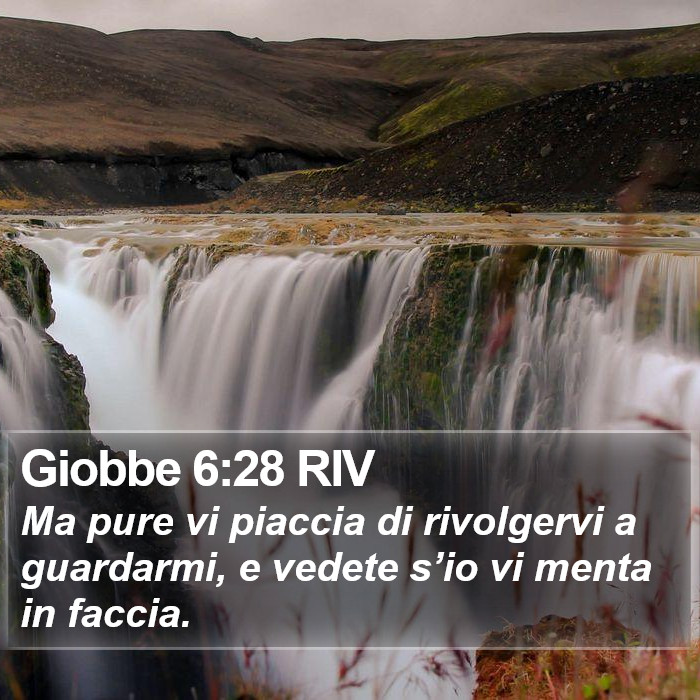 Giobbe 6:28 RIV Bible Study