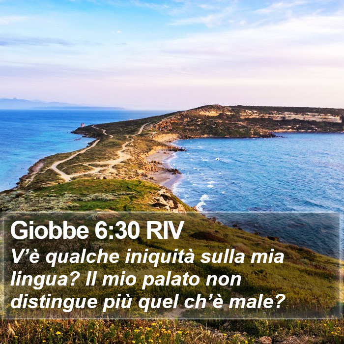 Giobbe 6:30 RIV Bible Study