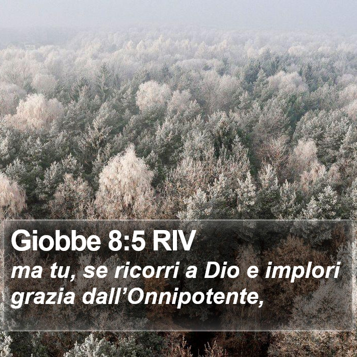 Giobbe 8:5 RIV Bible Study