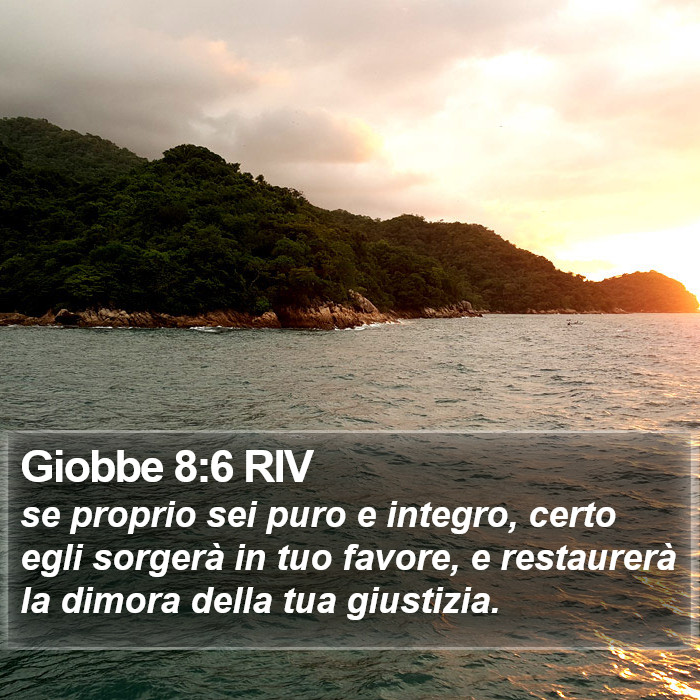 Giobbe 8:6 RIV Bible Study