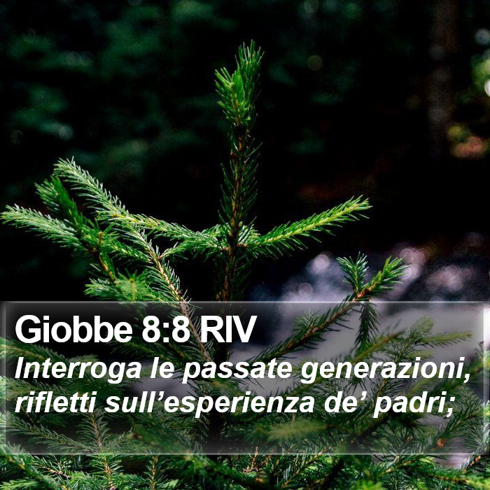 Giobbe 8:8 RIV Bible Study