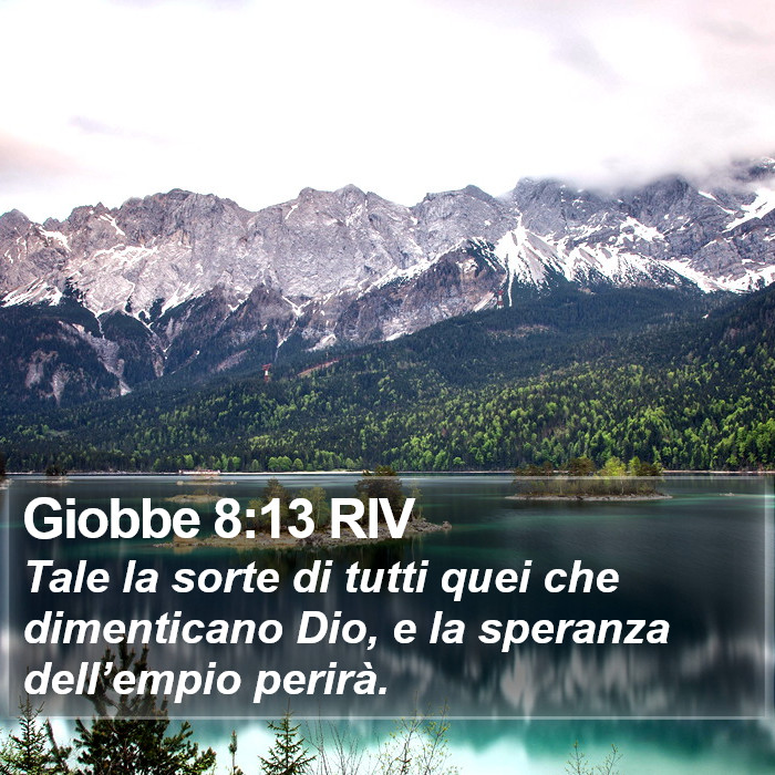 Giobbe 8:13 RIV Bible Study