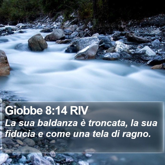 Giobbe 8:14 RIV Bible Study