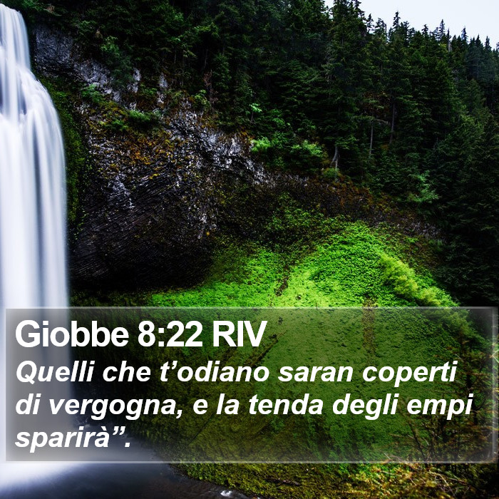 Giobbe 8:22 RIV Bible Study