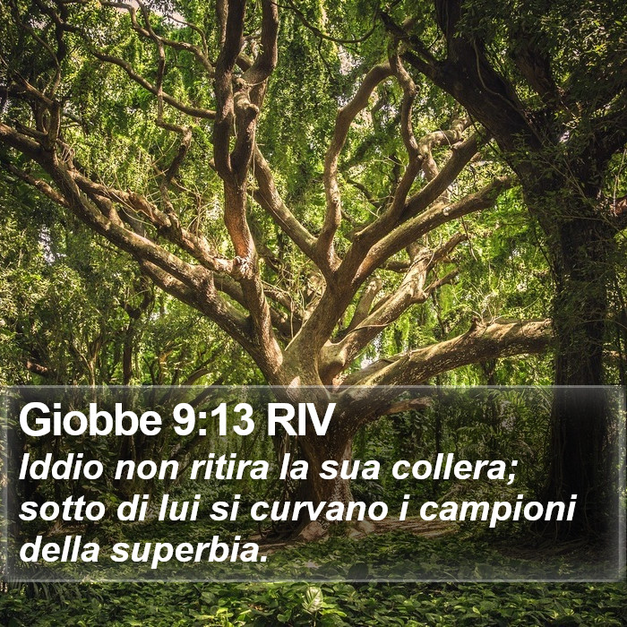 Giobbe 9:13 RIV Bible Study