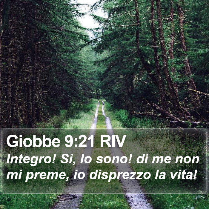 Giobbe 9:21 RIV Bible Study