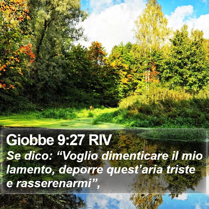 Giobbe 9:27 RIV Bible Study