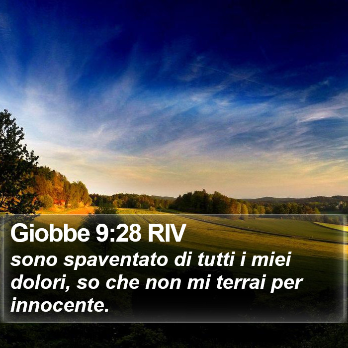 Giobbe 9:28 RIV Bible Study
