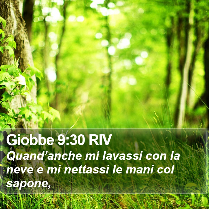Giobbe 9:30 RIV Bible Study