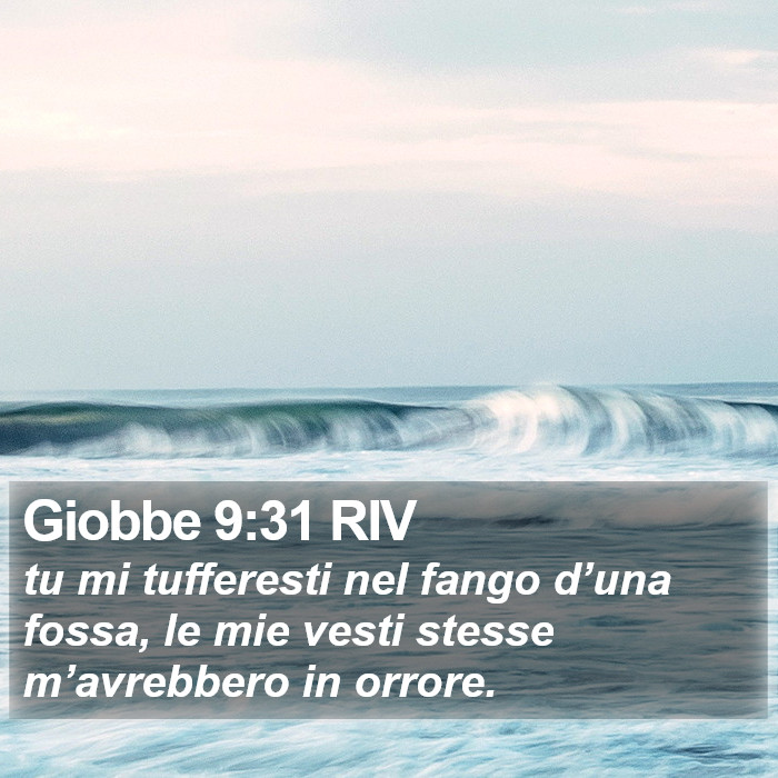 Giobbe 9:31 RIV Bible Study