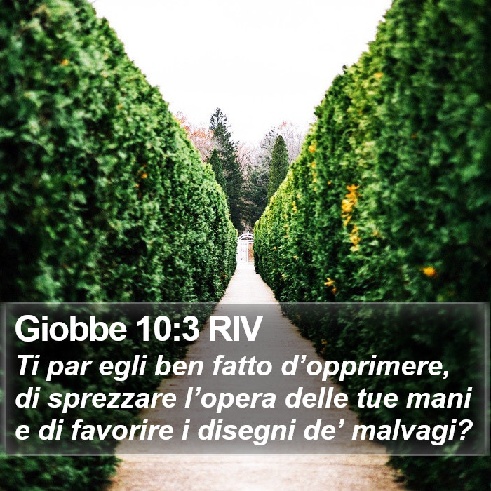 Giobbe 10:3 RIV Bible Study