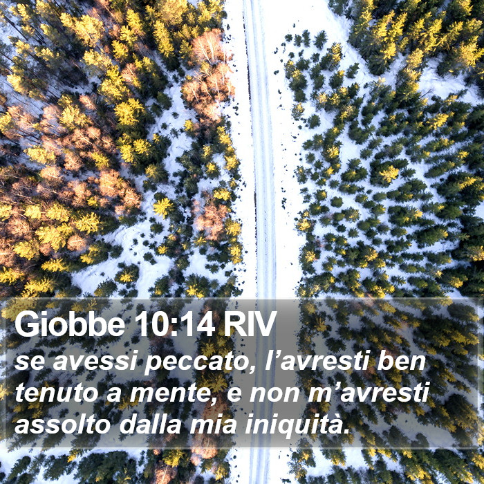 Giobbe 10:14 RIV Bible Study