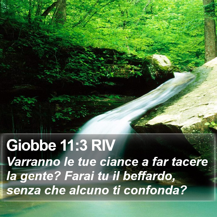 Giobbe 11:3 RIV Bible Study