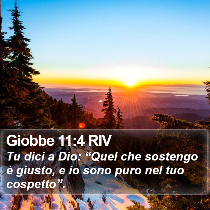 Giobbe 11:4 RIV Bible Study