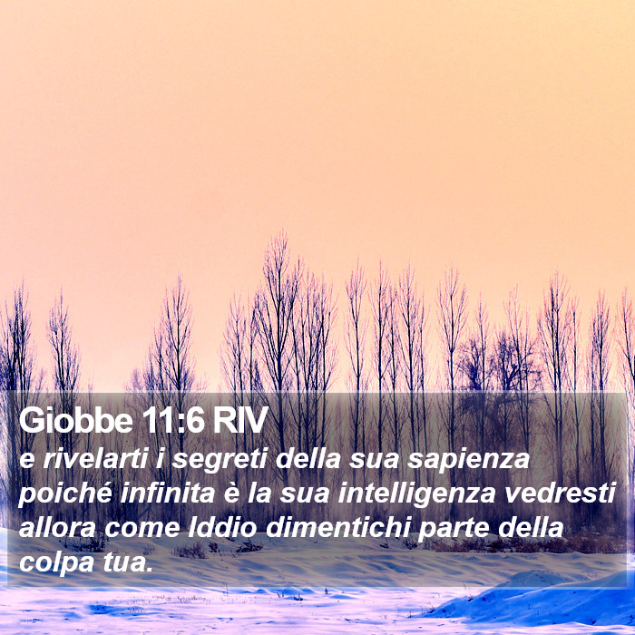 Giobbe 11:6 RIV Bible Study