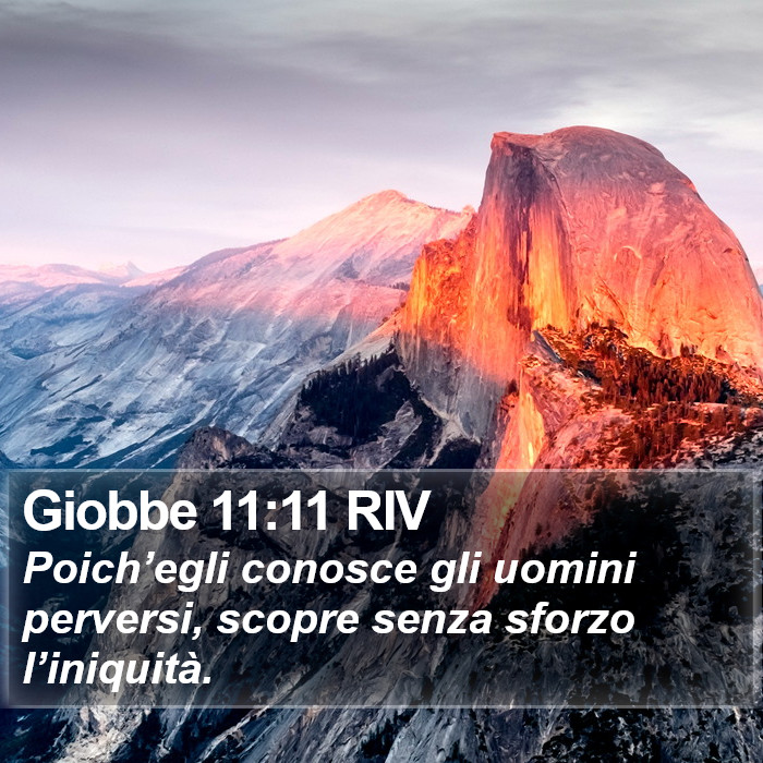 Giobbe 11:11 RIV Bible Study