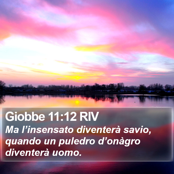 Giobbe 11:12 RIV Bible Study